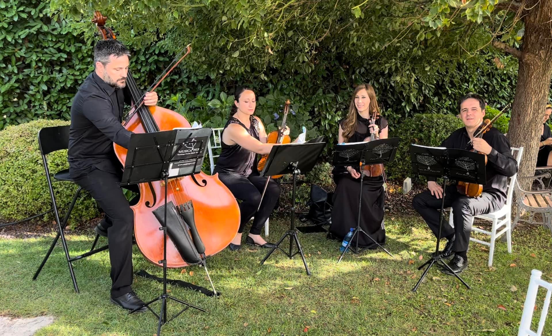 quartetto archi